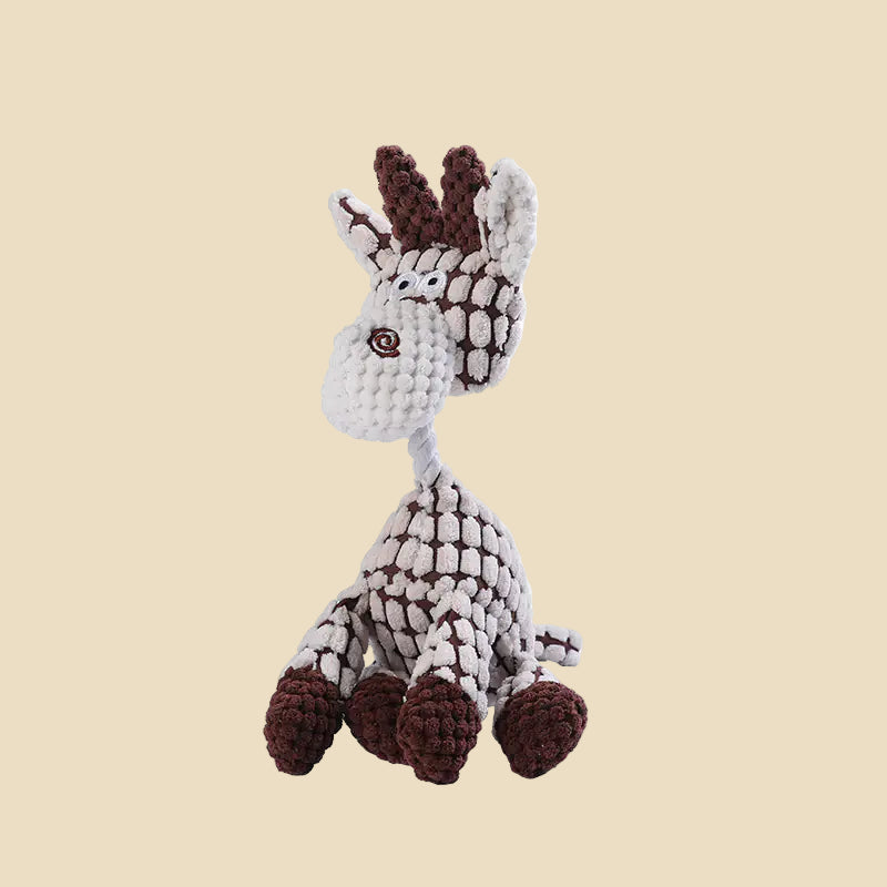 Dental Delight Dog Toy