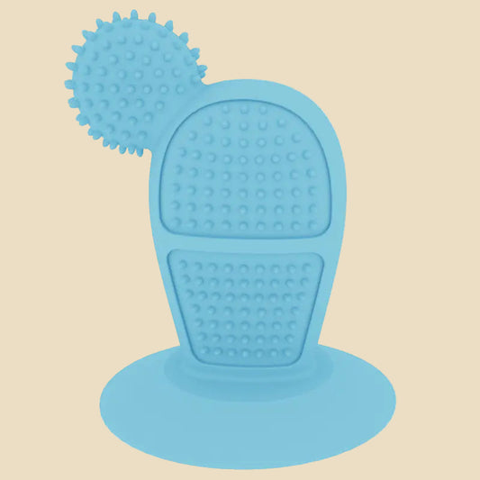 Cactus Chew Toy for Dogs