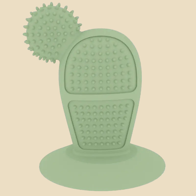 Cactus Chew Toy for Dogs
