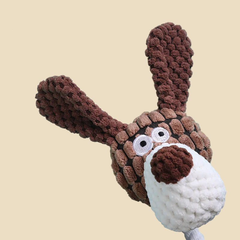 Dental Delight Dog Toy