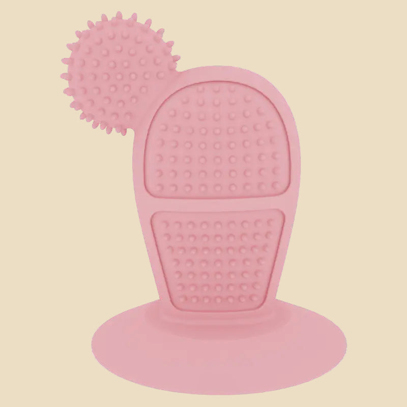 Cactus Chew Toy for Dogs